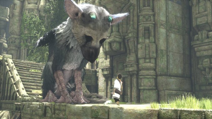 Trico e o garoto