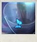 Borboleta azul de Life is Strange