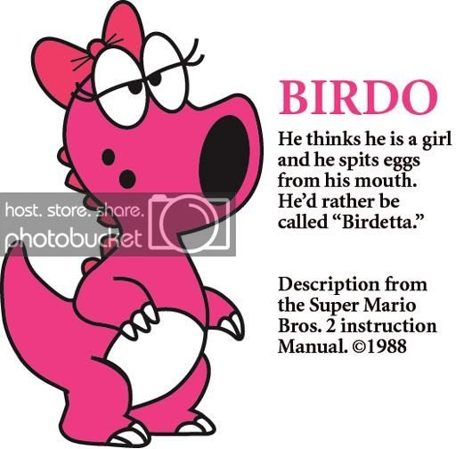 url imagem: img.photobucket.com/albums/v231/ursula_boi/birdo23.jpg